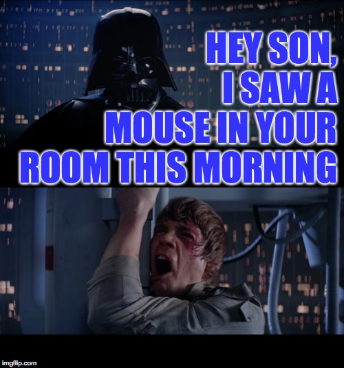 Star Wars No Meme | HEY SON,
I SAW A
MOUSE IN YOUR
ROOM THIS MORNING | image tagged in memes,star wars no,mouse | made w/ Imgflip meme maker