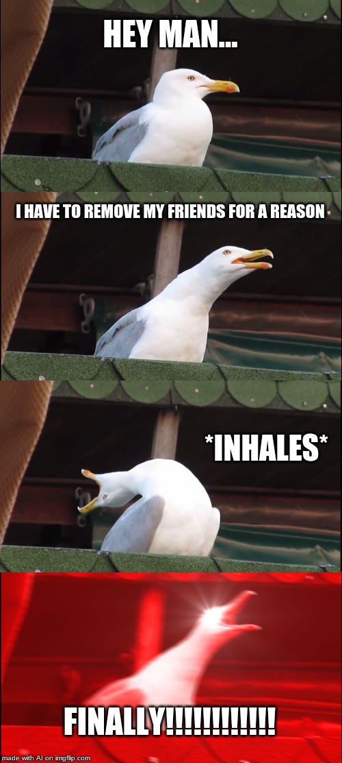 Inhaling Seagull Meme | HEY MAN... I HAVE TO REMOVE MY FRIENDS FOR A REASON; *INHALES*; FINALLY!!!!!!!!!!!! | image tagged in memes,inhaling seagull | made w/ Imgflip meme maker