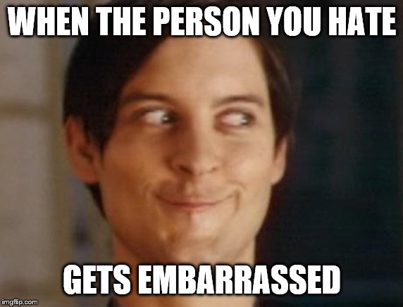 Spiderman Peter Parker Meme | WHEN THE PERSON YOU HATE; GETS EMBARRASSED | image tagged in memes,spiderman peter parker | made w/ Imgflip meme maker