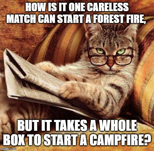 matches | HOW IS IT ONE CARELESS MATCH CAN START A FOREST FIRE, BUT IT TAKES A WHOLE BOX TO START A CAMPFIRE? | image tagged in smart cat | made w/ Imgflip meme maker