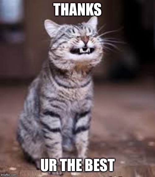 smiling cat | THANKS UR THE BEST | image tagged in smiling cat | made w/ Imgflip meme maker
