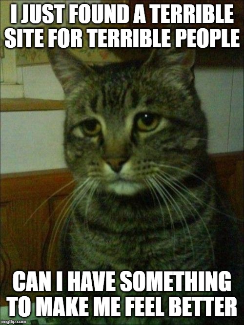 Depressed Cat | I JUST FOUND A TERRIBLE SITE FOR TERRIBLE PEOPLE; CAN I HAVE SOMETHING TO MAKE ME FEEL BETTER | image tagged in memes,depressed cat | made w/ Imgflip meme maker