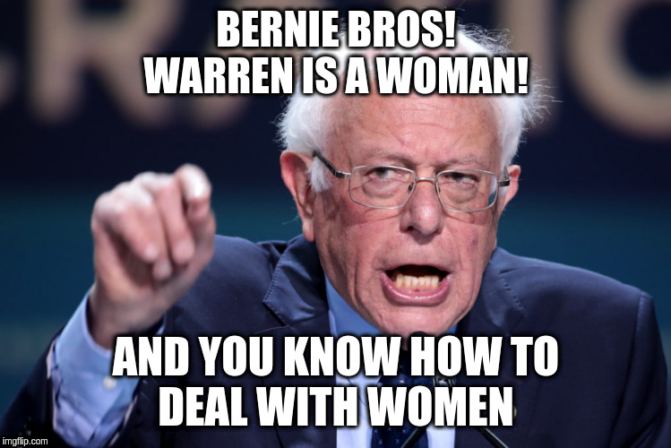 Bernie Bros Deal With Women | BERNIE BROS!
WARREN IS A WOMAN! AND YOU KNOW HOW TO
DEAL WITH WOMEN | image tagged in wtf bernie sanders | made w/ Imgflip meme maker