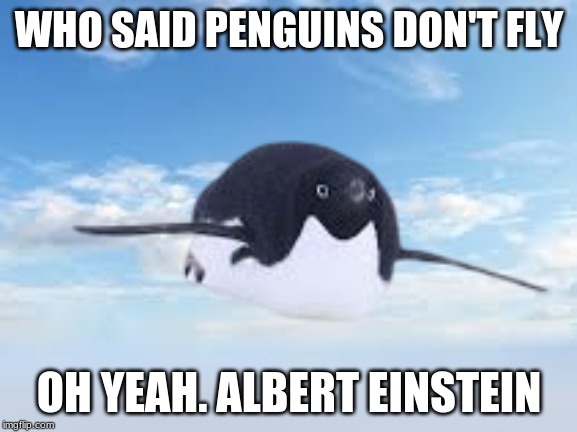 Flyin' Penguin | WHO SAID PENGUINS DON'T FLY; OH YEAH. ALBERT EINSTEIN | image tagged in birds,lol so funny | made w/ Imgflip meme maker