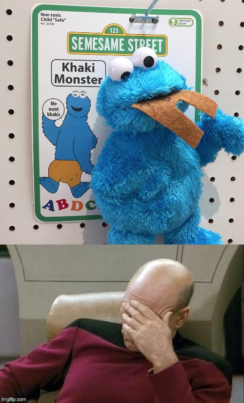 image tagged in memes,captain picard facepalm | made w/ Imgflip meme maker