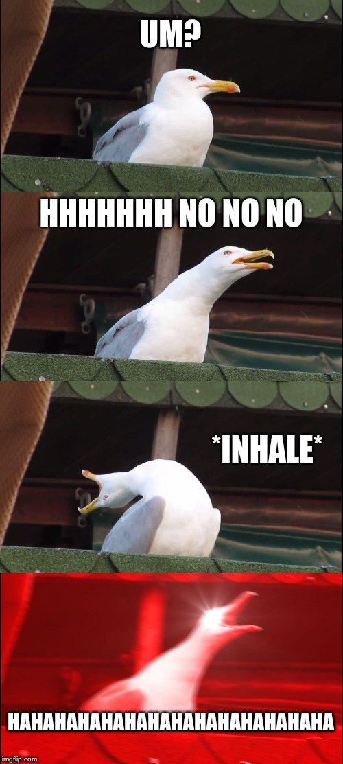 Inhaling Seagull Meme | UM? HHHHHHH NO NO NO *INHALE* HAHAHAHAHAHAHAHAHAHAHAHAHAHA | image tagged in memes,inhaling seagull | made w/ Imgflip meme maker