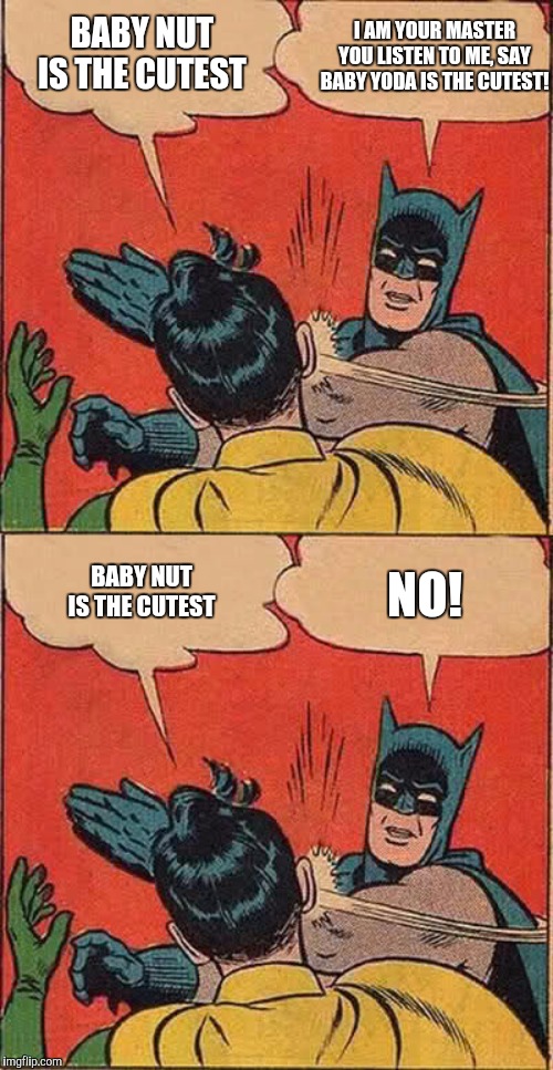 I AM YOUR MASTER YOU LISTEN TO ME, SAY BABY YODA IS THE CUTEST! BABY NUT IS THE CUTEST; BABY NUT IS THE CUTEST; NO! | image tagged in memes,batman slapping robin | made w/ Imgflip meme maker