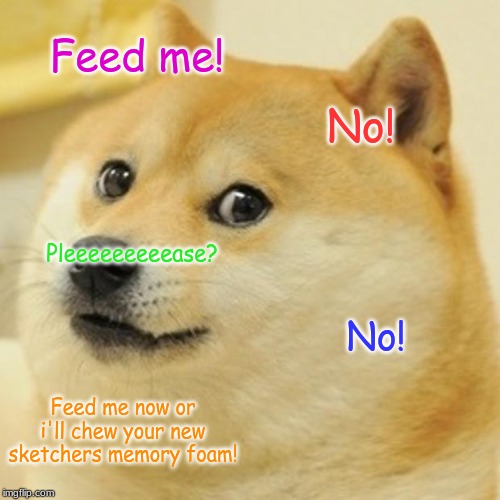 Doge Meme | Feed me! No! Pleeeeeeeeease? No! Feed me now or i'll chew your new sketchers memory foam! | image tagged in memes,doge | made w/ Imgflip meme maker