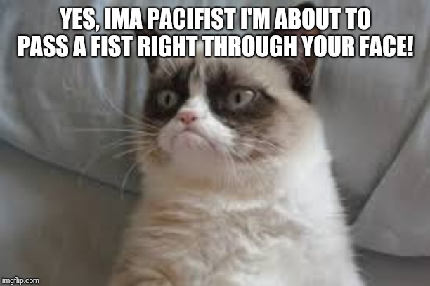 Grumpy cat | YES, IMA PACIFIST I'M ABOUT TO PASS A FIST RIGHT THROUGH YOUR FACE! | image tagged in grumpy cat | made w/ Imgflip meme maker