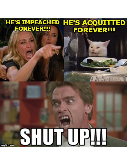 HE'S ACQUITTED FOREVER!!! HE'S IMPEACHED FOREVER!!! | image tagged in memes,woman yelling at cat | made w/ Imgflip meme maker