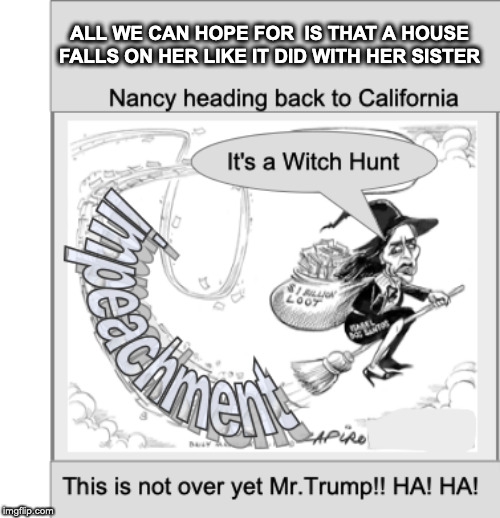 Nancy Pelosi | ALL WE CAN HOPE FOR  IS THAT A HOUSE FALLS ON HER LIKE IT DID WITH HER SISTER | image tagged in nancy pelosi,funny,wicked witch,funny memes,lol so funny | made w/ Imgflip meme maker