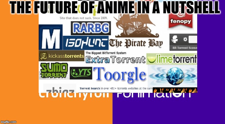 Anime Pirates We | THE FUTURE OF ANIME IN A NUTSHELL | image tagged in anime,piracy,torrents,crunchyroll,funimation | made w/ Imgflip meme maker