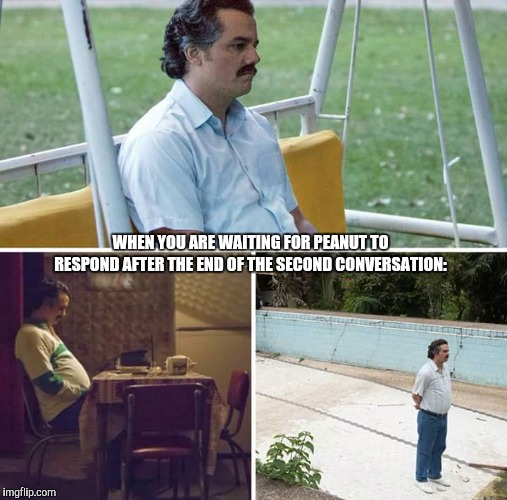 We need more Crush Crush memes in here | WHEN YOU ARE WAITING FOR PEANUT TO RESPOND AFTER THE END OF THE SECOND CONVERSATION: | image tagged in sad pablo escobar,crush crush | made w/ Imgflip meme maker