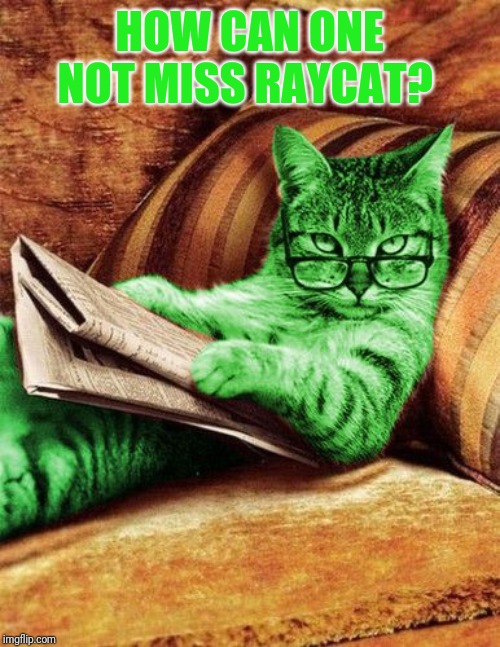 Factual RayCat | HOW CAN ONE NOT MISS RAYCAT? | image tagged in factual raycat | made w/ Imgflip meme maker
