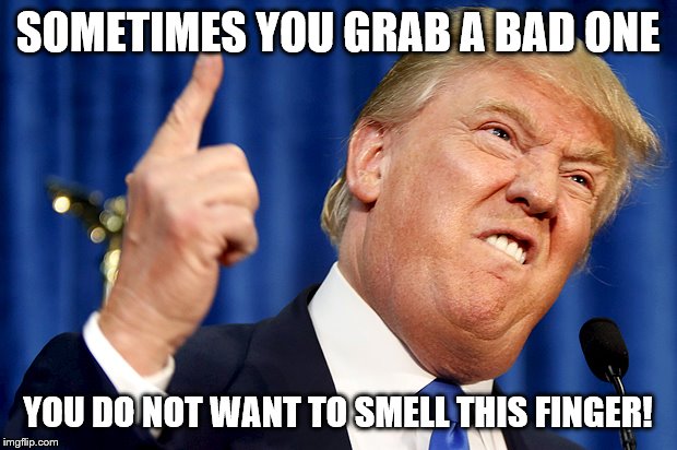 Donald Trump | SOMETIMES YOU GRAB A BAD ONE; YOU DO NOT WANT TO SMELL THIS FINGER! | image tagged in donald trump | made w/ Imgflip meme maker
