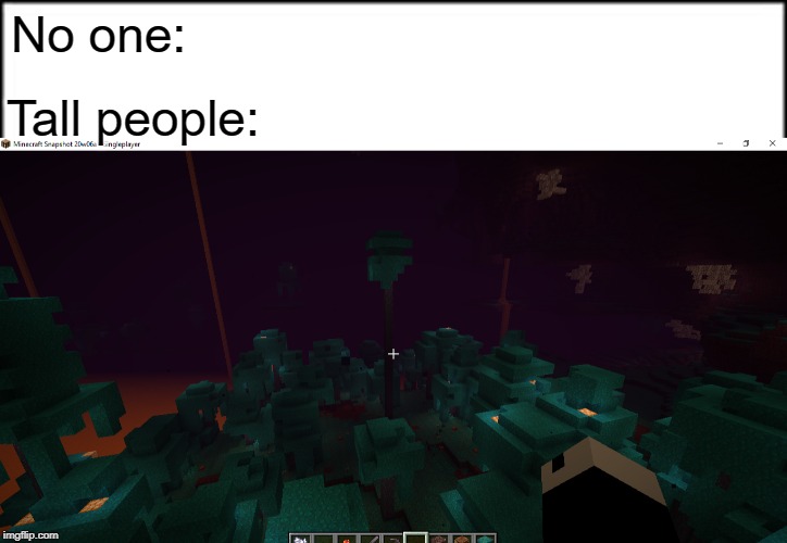 The nether update's coming! | No one:; Tall people: | image tagged in minecraft,nether,memes,funny,relatable | made w/ Imgflip meme maker
