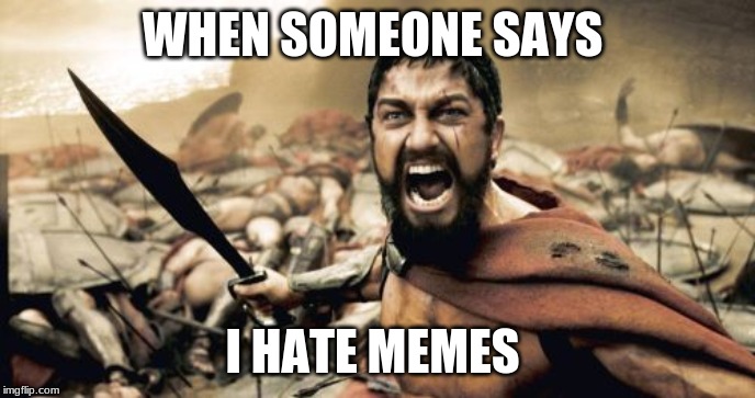 Sparta Leonidas | WHEN SOMEONE SAYS; I HATE MEMES | image tagged in memes,sparta leonidas | made w/ Imgflip meme maker