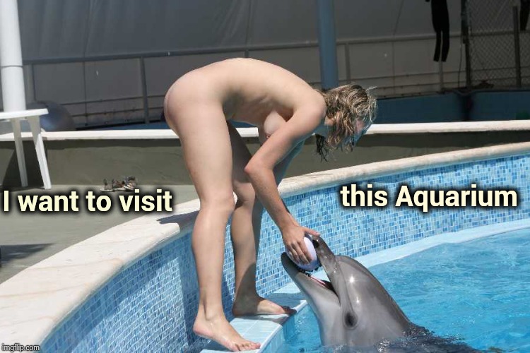 Now that's entertainment | this Aquarium; I want to visit | image tagged in aquarium,everybody,naked | made w/ Imgflip meme maker