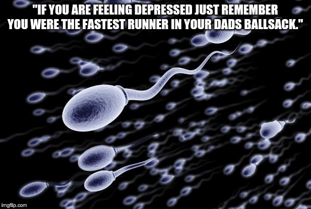 sperm swimming | "IF YOU ARE FEELING DEPRESSED JUST REMEMBER YOU WERE THE FASTEST RUNNER IN YOUR DADS BALLSACK." | image tagged in sperm swimming | made w/ Imgflip meme maker