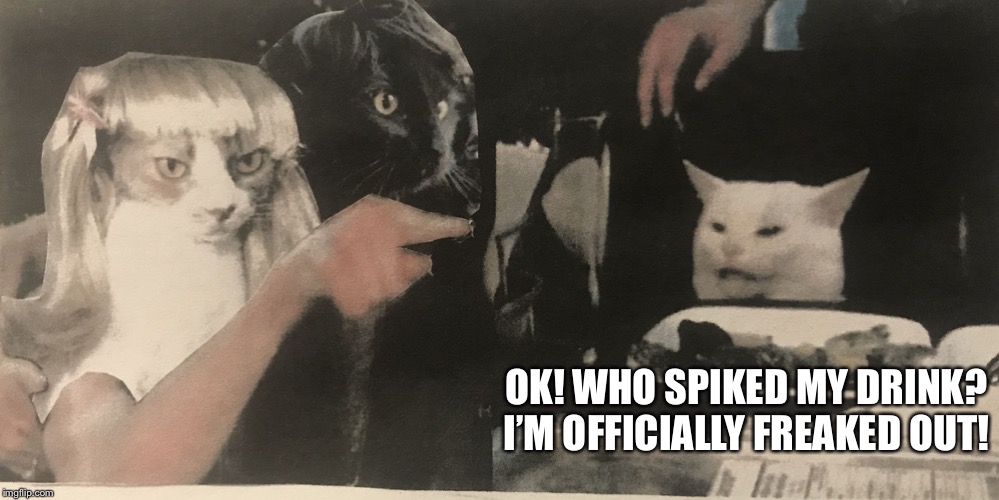 Cats yelling at cat | OK! WHO SPIKED MY DRINK?
I’M OFFICIALLY FREAKED OUT! | image tagged in cats yelling at cat | made w/ Imgflip meme maker