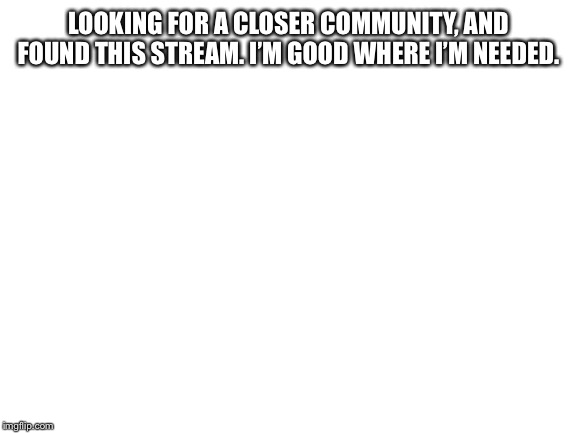 Blank White Template | LOOKING FOR A CLOSER COMMUNITY, AND FOUND THIS STREAM. I’M GOOD WHERE I’M NEEDED. | image tagged in blank white template | made w/ Imgflip meme maker
