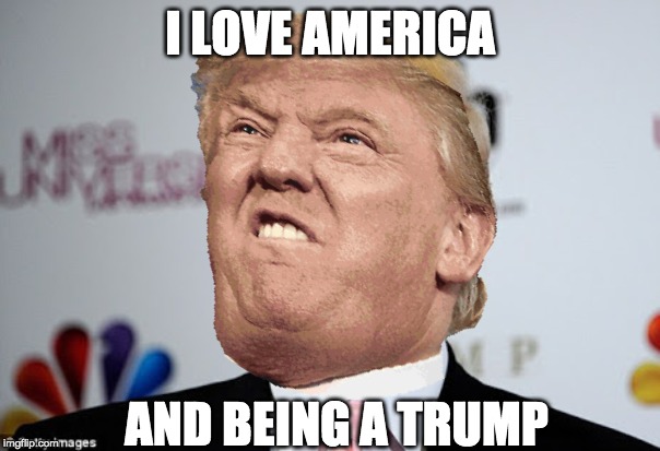 Look plz | I LOVE AMERICA; AND BEING A TRUMP | image tagged in donald trump | made w/ Imgflip meme maker