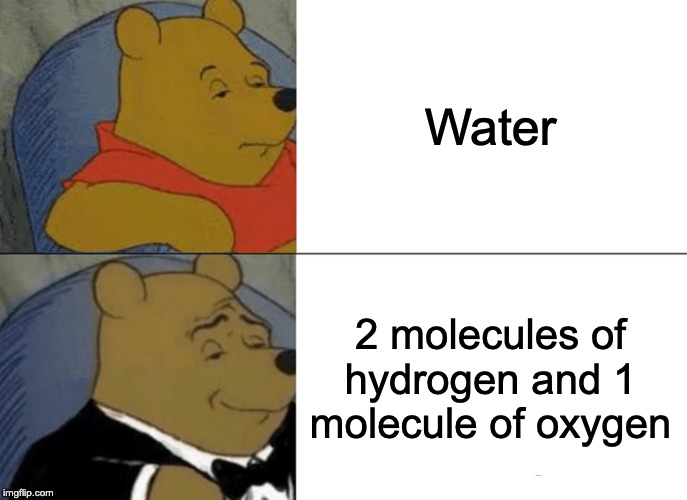 Tuxedo Winnie The Pooh | Water; 2 molecules of hydrogen and 1 molecule of oxygen | image tagged in memes,tuxedo winnie the pooh | made w/ Imgflip meme maker