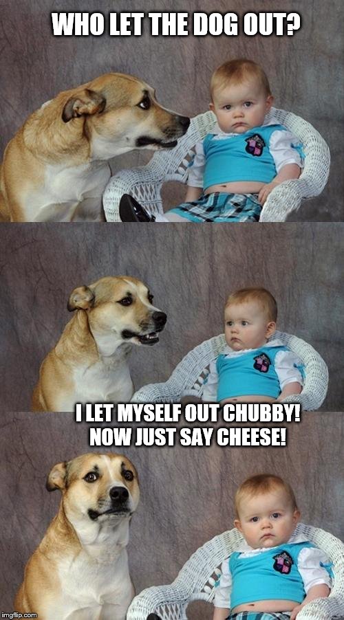 Dad Joke Dog Meme | WHO LET THE DOG OUT? I LET MYSELF OUT CHUBBY!
NOW JUST SAY CHEESE! | image tagged in memes,dad joke dog | made w/ Imgflip meme maker