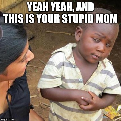 Third World Skeptical Kid | YEAH YEAH, AND THIS IS YOUR STUPID MOM | image tagged in memes,third world skeptical kid | made w/ Imgflip meme maker