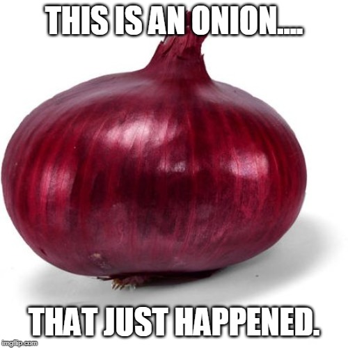 Red onion | THIS IS AN ONION.... THAT JUST HAPPENED. | image tagged in red onion | made w/ Imgflip meme maker
