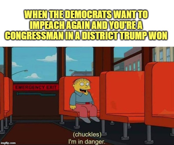 Insanity: Doing the same thing, expecting different results. | WHEN THE DEMOCRATS WANT TO IMPEACH AGAIN AND YOU'RE A CONGRESSMAN IN A DISTRICT TRUMP WON | image tagged in i'm in danger  blank place above,donald trump,democrat congressmen,congress | made w/ Imgflip meme maker