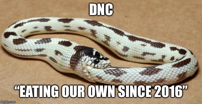 DNC eats its own | DNC “EATING OUR OWN SINCE 2016” | image tagged in snake,dnc | made w/ Imgflip meme maker