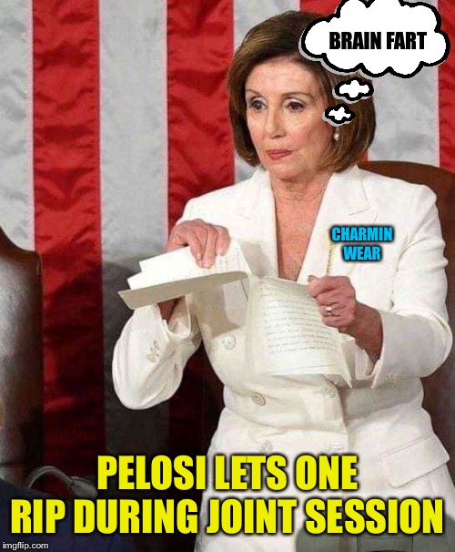 Let ‘er Rip | BRAIN FART; CHARMIN
WEAR; PELOSI LETS ONE RIP DURING JOINT SESSION | image tagged in pelosi rips sotu speech,fart,brain fart | made w/ Imgflip meme maker