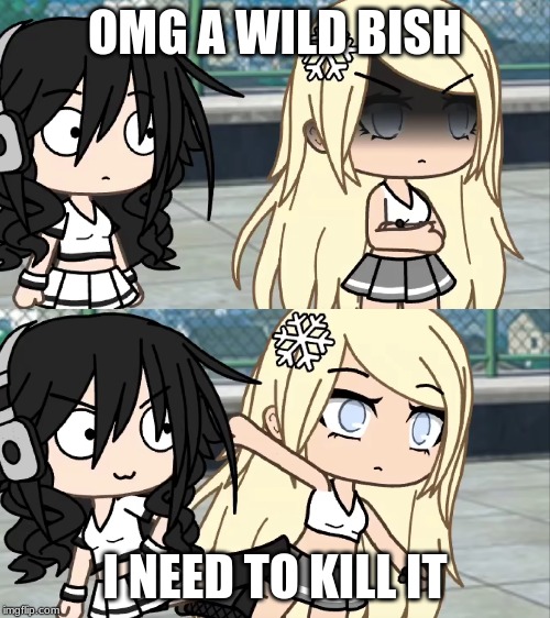 WILD BISH | OMG A WILD BISH; I NEED TO KILL IT | image tagged in xd,lol so funny | made w/ Imgflip meme maker
