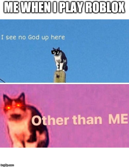 Hail pole cat | ME WHEN I PLAY ROBLOX | image tagged in hail pole cat | made w/ Imgflip meme maker