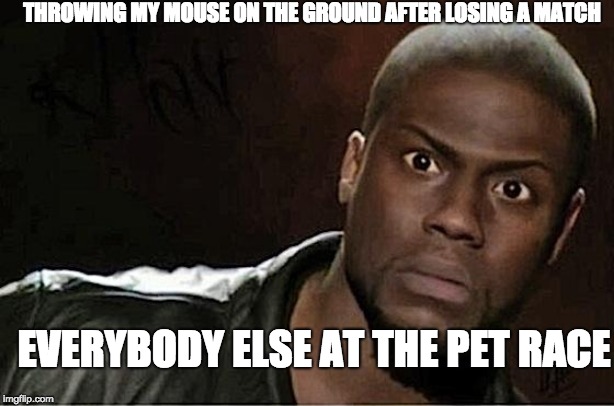 Kevin Hart | THROWING MY MOUSE ON THE GROUND AFTER LOSING A MATCH; EVERYBODY ELSE AT THE PET RACE | image tagged in memes,kevin hart | made w/ Imgflip meme maker