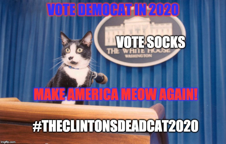 MAKEZ AMERICA MEOWZ AGAIN! | VOTE DEMOCAT IN 2020; VOTE SOCKS; MAKE AMERICA MEOW AGAIN! #THECLINTONSDEADCAT2020 | image tagged in socks,clinton,election 2020 | made w/ Imgflip meme maker
