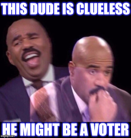 Steve Harvey Laughing Serious | THIS DUDE IS CLUELESS HE MIGHT BE A VOTER | image tagged in steve harvey laughing serious | made w/ Imgflip meme maker