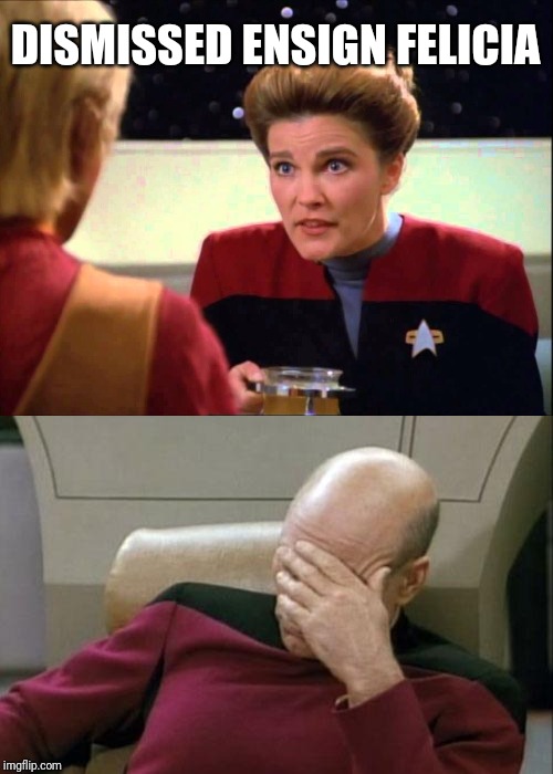 DISMISSED ENSIGN FELICIA | image tagged in memes,captain picard facepalm | made w/ Imgflip meme maker