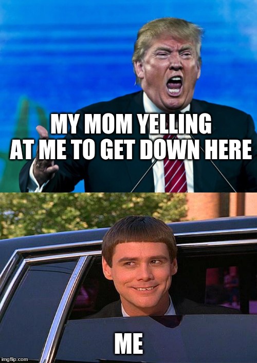 MY MOM YELLING AT ME TO GET DOWN HERE; ME | image tagged in cool and stupid,trump yelling | made w/ Imgflip meme maker