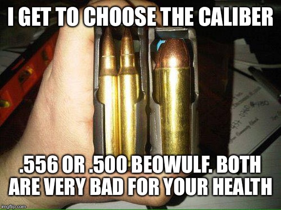 I GET TO CHOOSE THE CALIBER .556 OR .500 BEOWULF. BOTH ARE VERY BAD FOR YOUR HEALTH | made w/ Imgflip meme maker