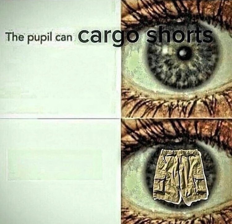 the pupil can CARGO SHORTS Blank Meme Template