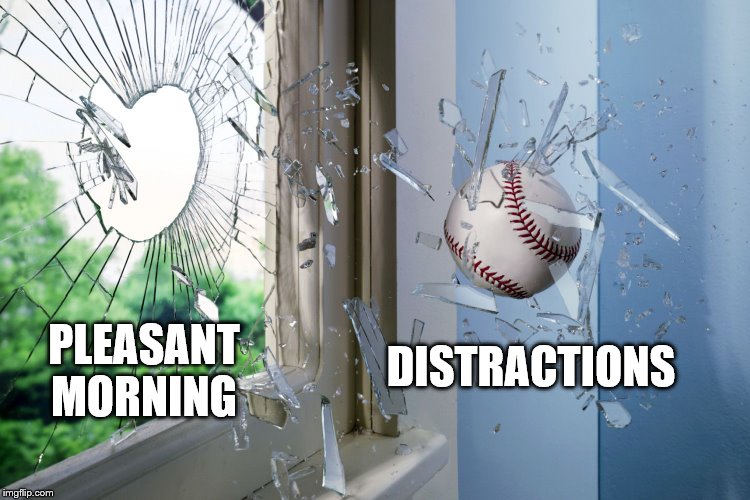 distractions baseball | DISTRACTIONS; PLEASANT MORNING | image tagged in distraction | made w/ Imgflip meme maker