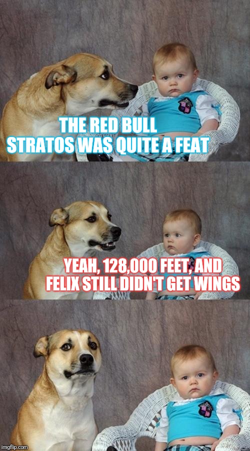 Dad Joke Dog Meme | THE RED BULL STRATOS WAS QUITE A FEAT; YEAH, 128,000 FEET, AND FELIX STILL DIDN'T GET WINGS | image tagged in memes,dad joke dog | made w/ Imgflip meme maker