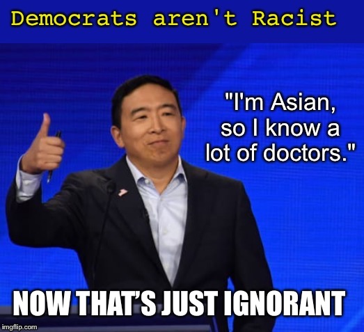 Yang at debate | NOW THAT’S JUST IGNORANT | image tagged in politics,asian | made w/ Imgflip meme maker