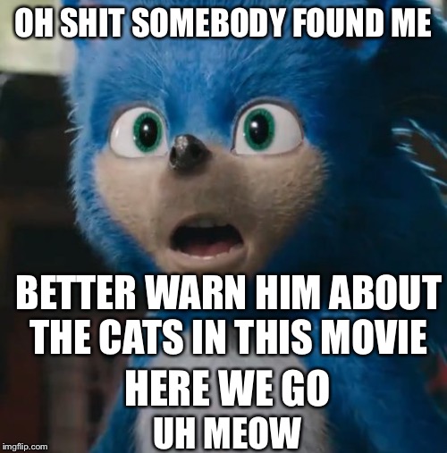 Sonic Movie | OH SHIT SOMEBODY FOUND ME; BETTER WARN HIM ABOUT THE CATS IN THIS MOVIE; HERE WE GO; UH MEOW | image tagged in sonic movie | made w/ Imgflip meme maker