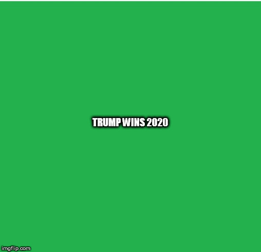 Green Screen | TRUMP WINS 2020 | image tagged in green screen | made w/ Imgflip meme maker