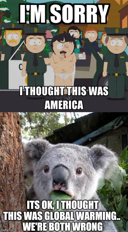 Koalas burgers taste like sadness | ITS OK, I THOUGHT THIS WAS GLOBAL WARMING.. 
WE'RE BOTH WRONG | image tagged in australia fire | made w/ Imgflip meme maker