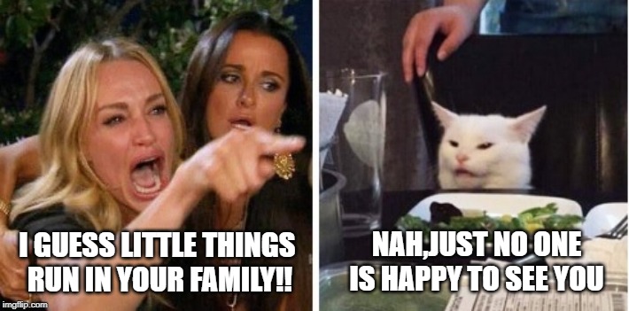 NAH,JUST NO ONE IS HAPPY TO SEE YOU; I GUESS LITTLE THINGS 
RUN IN YOUR FAMILY!! | image tagged in smudge the cat,woman yelling at cat | made w/ Imgflip meme maker