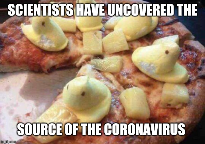 The Coronavirus Pizza | SCIENTISTS HAVE UNCOVERED THE; SOURCE OF THE CORONAVIRUS | image tagged in coronavirus,pizza | made w/ Imgflip meme maker